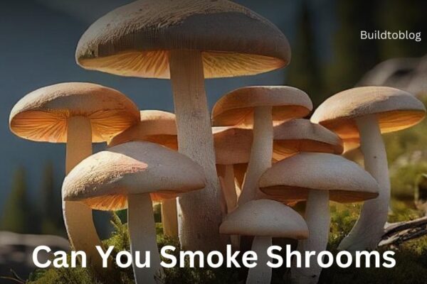 Can You Smoke Shrooms