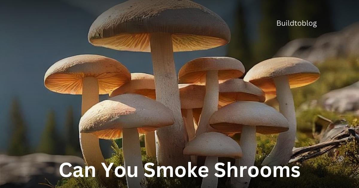 Can You Smoke Shrooms